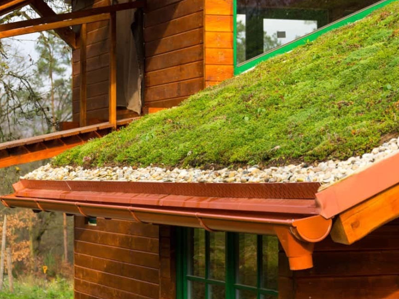 Green roofs 