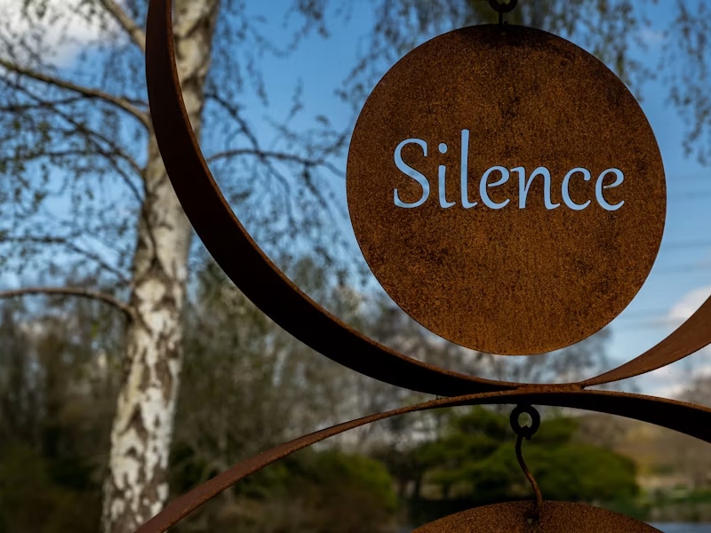 Why we need silence