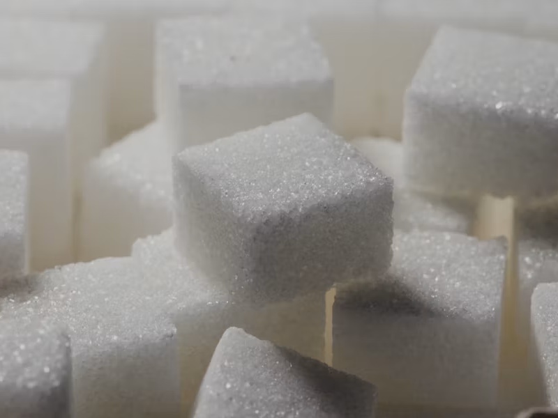 Book review: The World of Sugar by Ulbe Bosma
