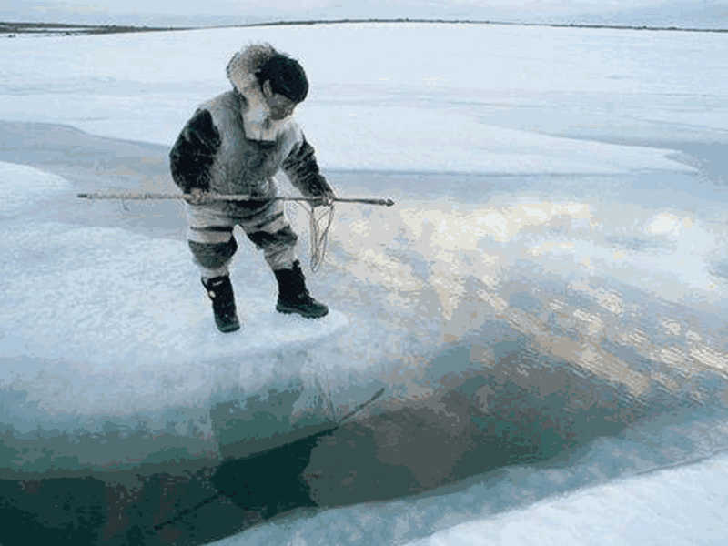 Climate Change and the Inuit