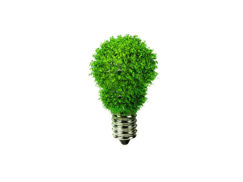 托福Official26听力leture1 Green Marketing原文解析+翻译音频